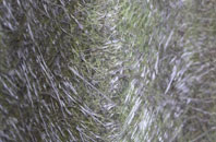 St Gluvias fibreglass roof work